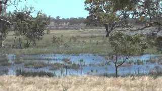 The Victorian Bush - its 'original and natural' condition