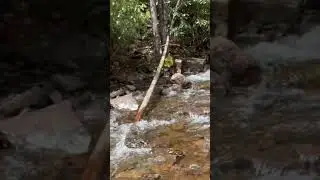 Waterfall near the Poconos. . #nature #waterfall