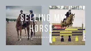 Selling my horse and a Yard update