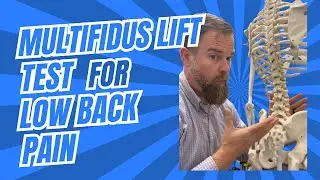 Multifidus Lift Test for Low Back Pain