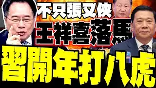 不只張又俠! 王祥喜被查 又一個高官落馬! 蔡正元評習近平這波清洗真正目的