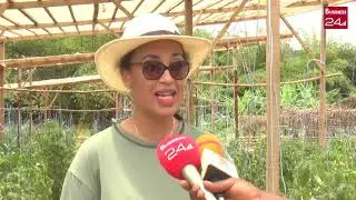 La culture de tomate hors sol maitrisée par le groupe écoles 2IAE
