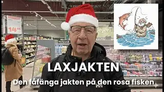 2025-12-22 LAXJAKTEN - Den fåfänga jakten på den rosa fisken