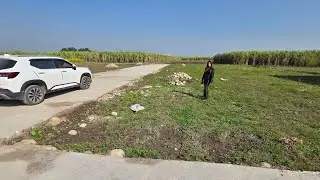 2 side 100 gaj or 100 Square Yard Plot for sale. 20 ft road both side, Doiwala Dehradun