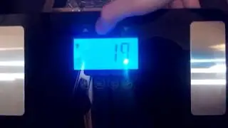 Excelvan Touch 400 lb Digital Body Fat Scale