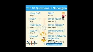 Top 10 Questions in Norwegian