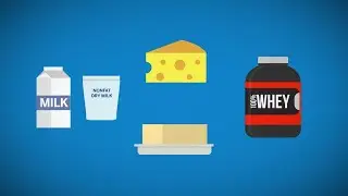 Understanding Supply and Demand: Dairy