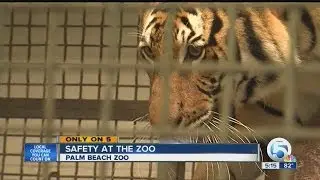 Safety at the Zoo