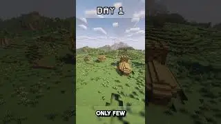 Only YOU Can Help This Minecraft Village
