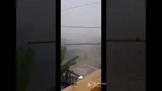 misty clip for u guys 💕...