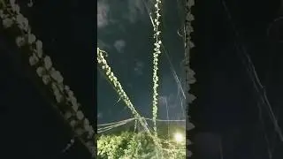 #короткоевидео красивая ночная прогулка