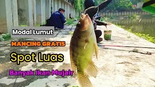 Rekomendasi Tempat Mancing Ikan Mujair Liar di Jakarta, Ada Yang jual lumut Disini‼️