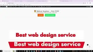 Web Developer & SEO Expert landing page design service