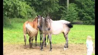 Germany`s Wonderful Hunsr&uuml;ck - Rhaunen and Stipshausen in 2009