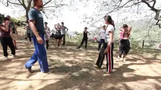 FIGHTING MONKEY - TRY