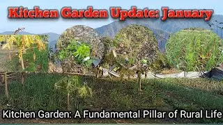 January Month Kitchen Garden Update | Winter Kitchen Garden Tour #rurallifetalks