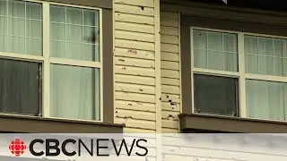 Dealing with hail damage? Here's what insurance can and can't help with