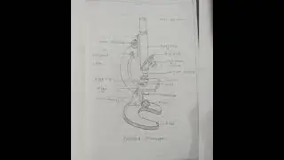 11 th class science Journal practical book | biology experiment no.1.
