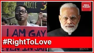 Govt Stand Decoded: SC May Now Repeal Or Amend Section 377 On Same-Sex Relations