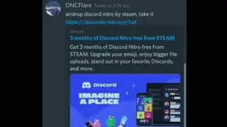 Fake Discord Nitro Scam