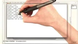 Cutest Kitten - Intro to Java Programming