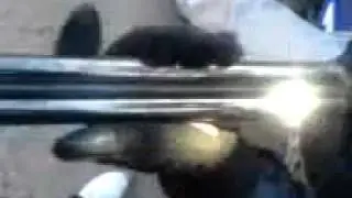 page moss video