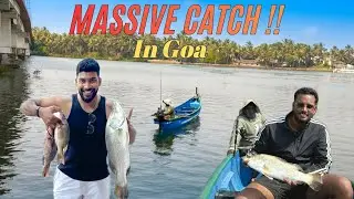 Caught Massive Barramundi (chonok) And Red Snappers in Goa🌴 | fishing in Goa | Assolna river |