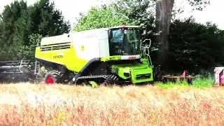 Lystrup og Jomfruens Egede Godser Høst 2013