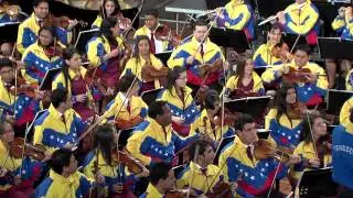 TICO TICO