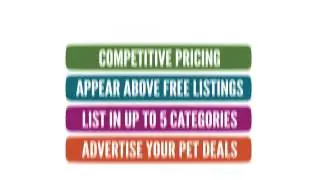 My Pet Directory