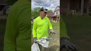 Part 2 of a Spring lawn renovation