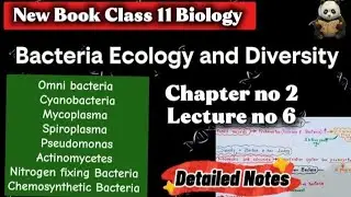 Bacteria Ecology and Diversity|Biology class 11 chapter 2|Bacteria and Viruses|Fsc class 11