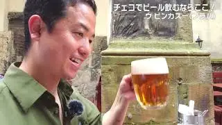 Japan TV at the best Czech restaurant in Prague center - Restaurant U Pinkasů