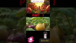 Best Cartoon shorts story  #kidsstory #twinkletalesstories #shortstories