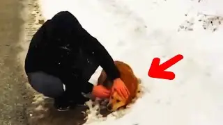 Driver Spotted Something STRANGE Moving On snowy road, In an instant, the sound of weeping fell