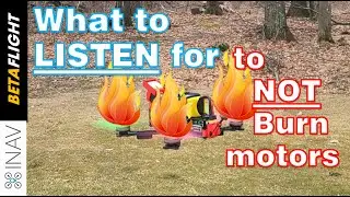 Things that Burn up Motors