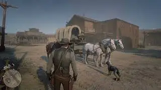 Red Dead Redemption 2 exploring Armadillo