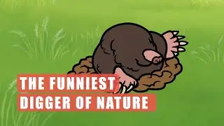 Meet the FUNNIEST Diggers of Nature! Revealed Woodchucks | Animal Science Bites