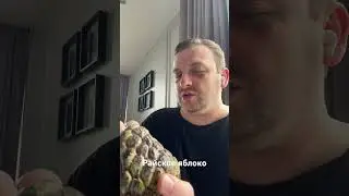 Райское яблоко (Аннона)