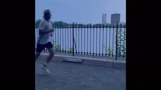 New York Visuals
