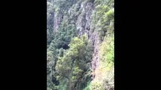 Springbrook Waterfall!