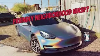 Vehicle Wrap Vlog | #10 | Prestige Auto Restyling