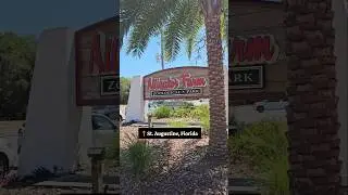 St. Augustine Alligator Farm & Zoological Park Highlights