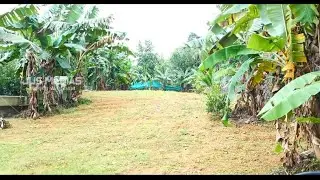 Plot For Sale In Kottayam | 30 Cent | 2.5 Lakh | Contact Owner