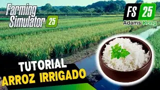 FS25: Tutorial ARROZ IRRIGADO - Preparação, plantio, colheita e replantio | FARMING SIMULATOR 25