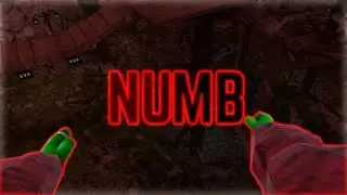 NUMB | TRUE Top 1 branching TT Montage