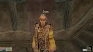 Morrowind, Part 10 / Mages Guild Antics and the Road to Caldera