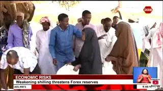 Economic risks | Weakening shilling threatens Forex reserves
