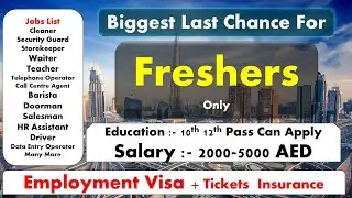 Jobs In Dubai For Freshers - Dubai Job Vacancies 2022#dubaijobvacancy2022