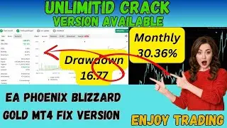 EA PHOENIX BLIZZARD GOLD MT4 fix version